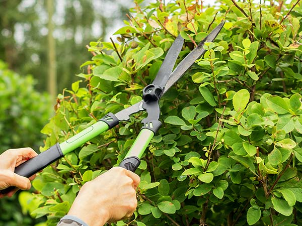 giardiniere-per-potatura-alberi-e-piante-in-lombardia