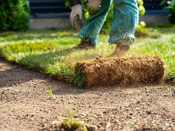 impresa-di-giardinaggio-in-lombardia