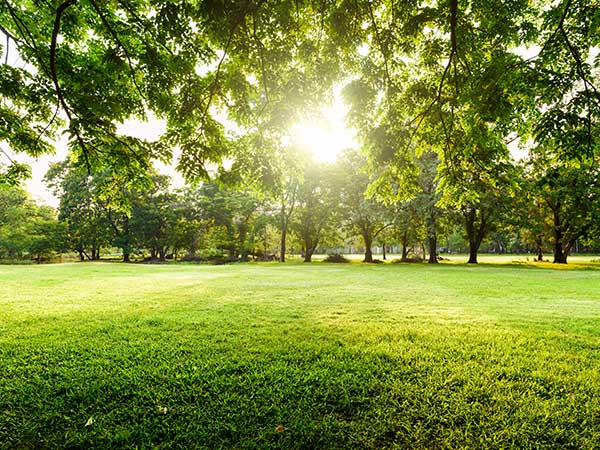 impresa-per-il-verde-pubblico-lombardia
